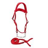 5 MM Horse Bridle, Horse Rein Harness Headstalls Removable Snaffle Adjustable High Density Thickened Webbing with Soft Cushion Control Halter Riding Accessories Red Color