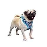 Air Mesh hundsele tryckt husdjur bröstsele lätt vikt för små medelstora hundar andas mjuk sele valpar justerbar bilsele hundkoppel ledtråd, Small, F