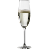 Champagneglas Gourmet 21cl