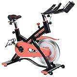 AQQWWER Motionscykel Bike Spinning Bicycle Cycling Household Expenses Sports Ultra Quiet (Color : Pink)