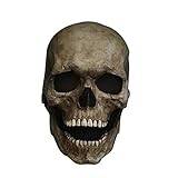 Halloween huvud dödskallemask/hjälm med rörlig käke, läskig halloween mänsklig realistisk latex skelett huvudbonad för cosplay fest rekvisita