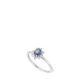 Rugiada 18kt Diamond & Sapphire Ring