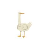 White Goose Farm Bird, Poultry