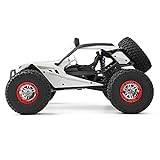 WLtoys High-Speed RC Car WL 12429 1/12 4WD RC Racing Car High Speed Off-Road Remote Control Alloy Crawler Truck LED Light Buggy Toy Kids Gift RTF (12429 1 * 1500)