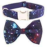 Classic Star Dog Collar Bow Tie with Metal Buckle Big and Small Dog & Cat Collar Pet Accessories-collar bow, XS (15-25cm Length)