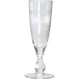 Glas Champagne Clear