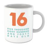 16 Five Thousand Eight Hundred And Forty Days Old Mug