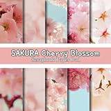 SAKURA Cherry Blossom Scrapbook Paper Pad - Pocketbok
