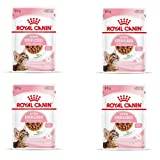 Royal Canin Kitten Sterilised Gravy | 4-pack | 4 x 12 x 85 g | Våtfoder för kastrerade kattungar i tillväxt | från 6 till 12 månaden | Mjuk konsistens för mjölktänder