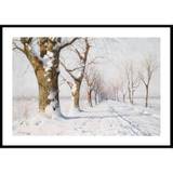 Snow Covered Avenue 70x100