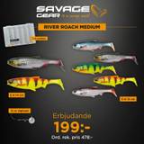 Savage Gear River Roach Medium