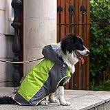 Fit in Everyway vattentät husdjursjacka hoodie 2-lagers design hund regn poncho hund regnrock för medelstora till stora hundar, Medium, gRÖN