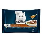 Purina Gourmet Katt fuktiga pärlor, kattsås triumf med nötkött, kyckling - 48 kuvert à 85 g vardera (förpackning med 48 x 85 g)
