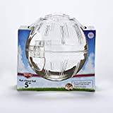 BEEZTEES hamsterboll premium, transparent