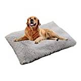 Medium stor hundlåda madrass hundbädd – bekväm lång plysch husdjurssäng hund katt kennel valpkudde – halkskydd hundkudde matta – med avtagbart blixtlås, XL, ljusgrå