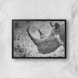 Grayscale Rhino Giclee Art Print - A3 - Black Frame