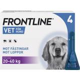 Frontline vet. Hund 20-40 kg spot-on lösning 100 mg/ml 4x2,68 ml