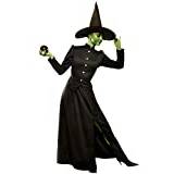 Franco Wicked Witch Plus Size Costume, 2XL Black