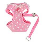 Pinkaholic NATA-HC7552-PK-M LANA HARNESS C M hundsele, M, rosa