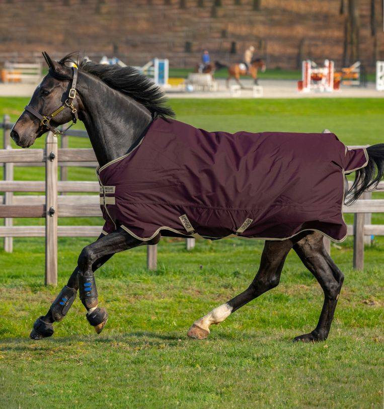 Horseware Amigo Hero 6 Lite Black  Weidedecke Regendecke in allen Gr. 