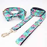Blue Floral Dog Collar Bow Tie Pet Accessories-collar bow leash, S