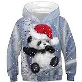 Ocean Plus Pojkar Huvtröja Djurtryck Huva Pulli med Tryck Huva Pullover Barn Sweatshirt Hooded Sweat (L (höjd: 145-150cm), Jul panda)