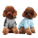 Mode hund huvtröja hundkläder streetwear ren bomull sweatshirt hund katt valp liten medelstor modeoutfit (grå/ljusblå, M)