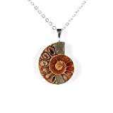 Naturlig ammonit fossiler Conch snigel hänge Halsband Ocean Animal Seashell Charm Lucky Stone,Alloy Chain