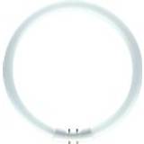 PHILIPS-LM Leuchtstofflampe 40W MASTER 3000K A 2GX13 TL5 CIRCULAR 40
