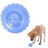 Frysbar hundleksak | Kylbar kylbitring för husdjur | Hållbart ben/hantel/bollformad tuggbar hundleksak för hundar katter (blå) Znet-au