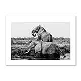 Elephant Black White Wall Art Print Canvas Painting Nordic Vintage Posters och tryck Väggbilder for vardagsrumsinredning (Color : A, Size : 21x30cm no frame)