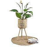 Hantverksställ för växter i bambu, blomställ inomhus för vardagsrum, miljövänlig hållare för suckulentväxter i bambu, blomvaser, heminredning utomhus (storlek: M)