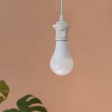 LED glödlampa Idea - Bright Idea 13W/4000K/1580 lm