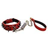 Medium Large Dog Pet Leather Collar and Matching Leashes Lead-Red Set, M