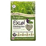 Burgess Excel Foage Torkat gräs, 1 kg, grön