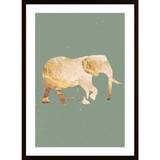 Sage Green Gold Elephants 2 Poster - 50X70P