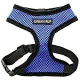 FreeDog FD4003072 - Soft harness, for dog, blue color