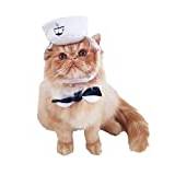Glamour Girlz så söt liten hund & katt halloween marin marin sjöman vit hatt & cape