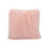 SDXEWWW Kuddar Plush Pillowcase Wool Faux Fur Cushions Sofa Bed Furry Long Hair Cushion Princess Pillow Home Wedding Decoration (Color : Pink, Size : 45x45cm)