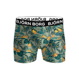 Björn Borg Microfiber Boxer 1-pack Multi, XS