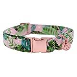 Green Leaf Dog Collar and Leash Set with Bow Tie Adjustable Pet Puppy Cotton Dog Dog Birthday-collar, XS