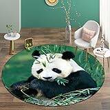 YOUSHIHUI Giant Panda Bamboo Leaves 3D-tryckta mattor Dekorativa mattor för vardagsrum och sovrum, halkfria golvmattor för kök och badrum, dörrmattor Mattor