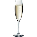 Champagneglas Smart 17cl