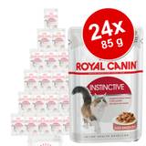 Ekonomipack: Royal Canin våtfoder 24 x 85 g - Indoor Sterilised i sås