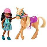 Barbie DYL24 FAMILY ponny häst och chelsea-docka, äventyr, gåva för barn 2 till 5 år, flerfärgad