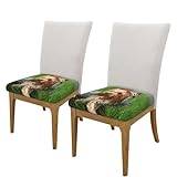 Fyrkantiga pallskydd, 2-pack bekväma sätesöverdrag stretch stol överdrag stolskydd, Yorkshire terrier gräsmatta söta hundar Ummer röd rosett