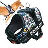 Reflex hundväst - Bekvä kraftig skyddsväst för husdjur med reflekterande remsor,High Visibility-väst för utomhusaktiviteter dag och natt, skydda din hund från bilar och
