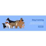 Professional Dog Training Service Banner.