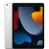 Apple iPad 10,2 tum Wi‑Fi 256 GB – silver