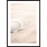 Shell 3 Poster - 70X100P